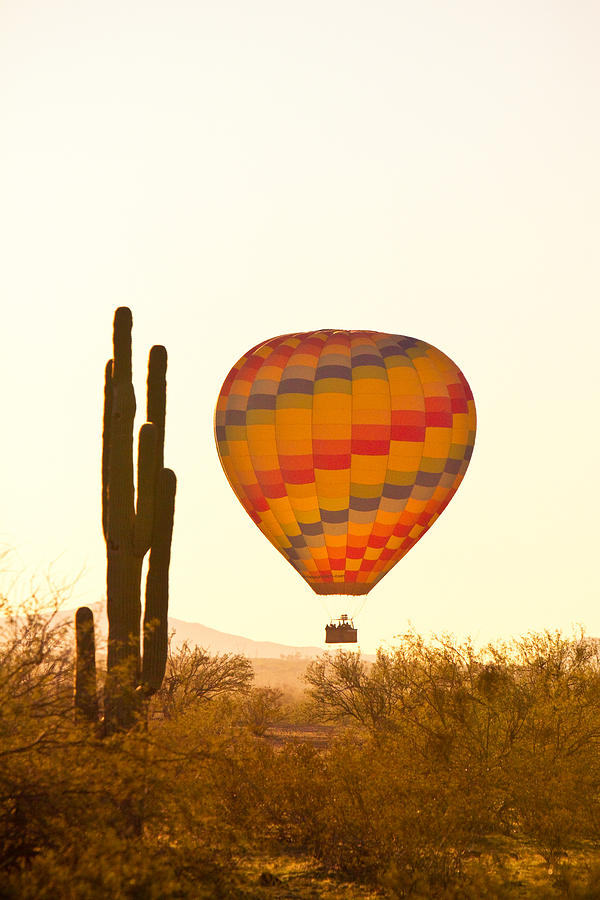 Golden Light Hot Air Balloon And Saguaro Cactus Photograph by James BO Insogna
