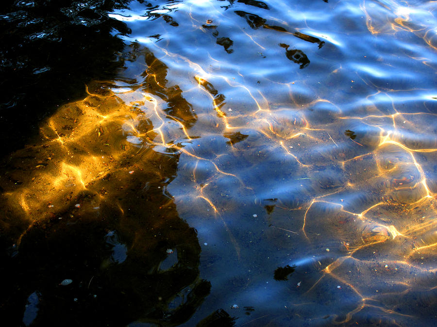 Golden Light in the Water  Photograph by Lyle Crump