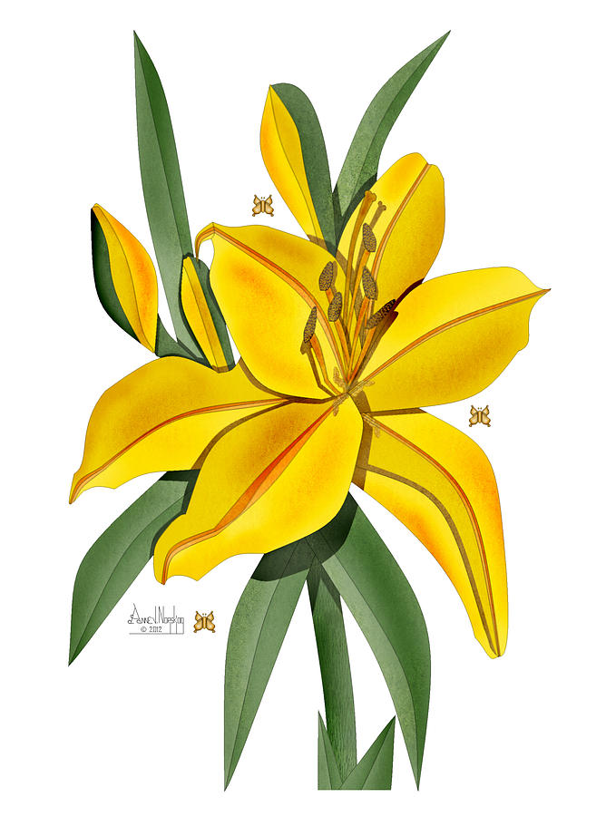 Golden Lily On White Painting