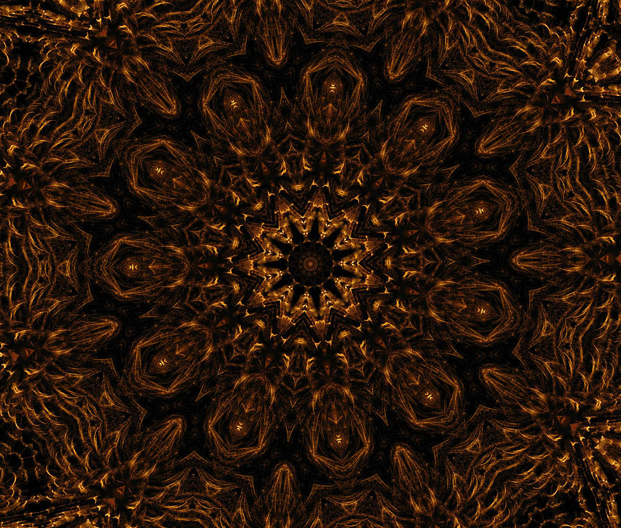 Golden Kaleidoscope 5 Digital Art by Rhonda Barrett