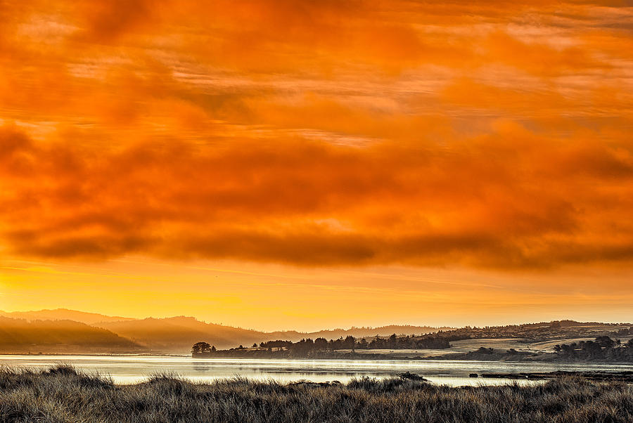 Golden Morning over Humboldt Bay Photograph by Greg Nyquist