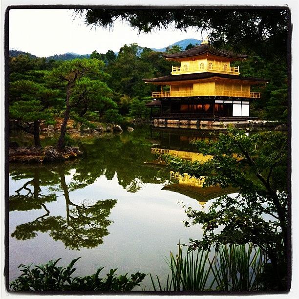 Golden Palace Kyoto Japan Photograph by Jimmy Pargas