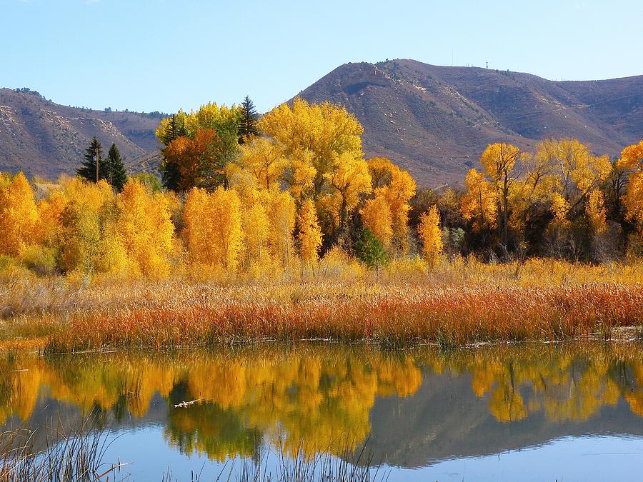 Golden Pond Photograph by FeVa Fotos - Pixels