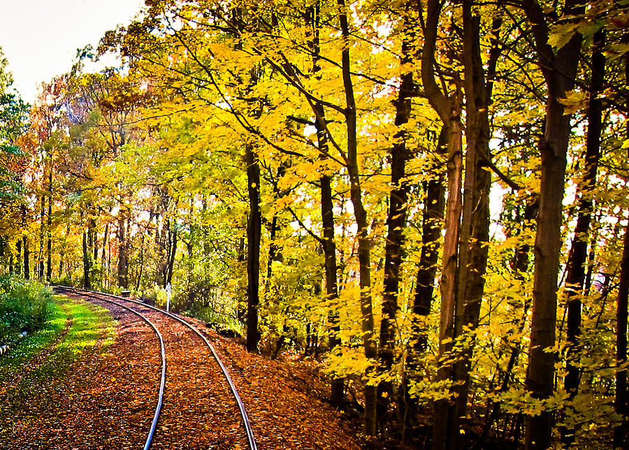 Golden Rails Photograph by Sara Frank