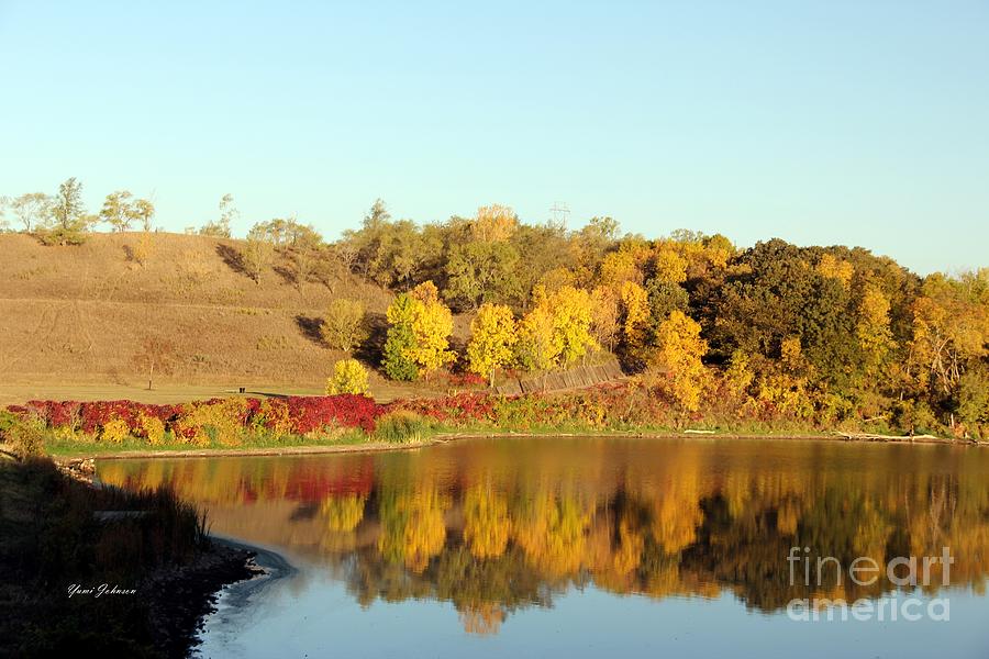 Fall Photograph - Golden reflection by Yumi Johnson
