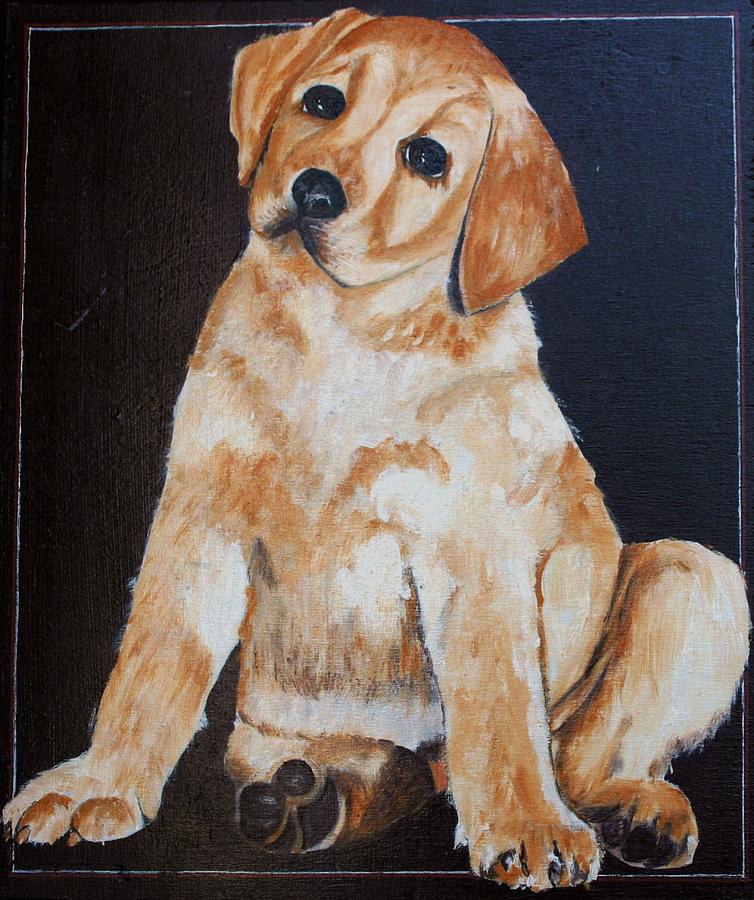 Golden Retriever Painting by Camelia Apostol - Pixels