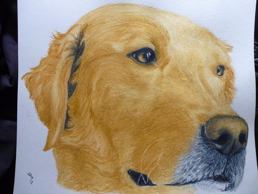 Dog Painting - Golden Retriever Pink Nose Pet Portraits Original Watercolor Memorial 9 x 12 inches by Shannon Ivins