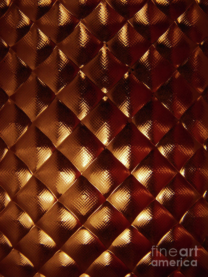 Golden Scales Photograph by Mark Holbrook