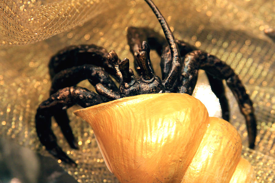 Golden SeaShell Crab Still Life Photograph by Karon Melillo DeVega