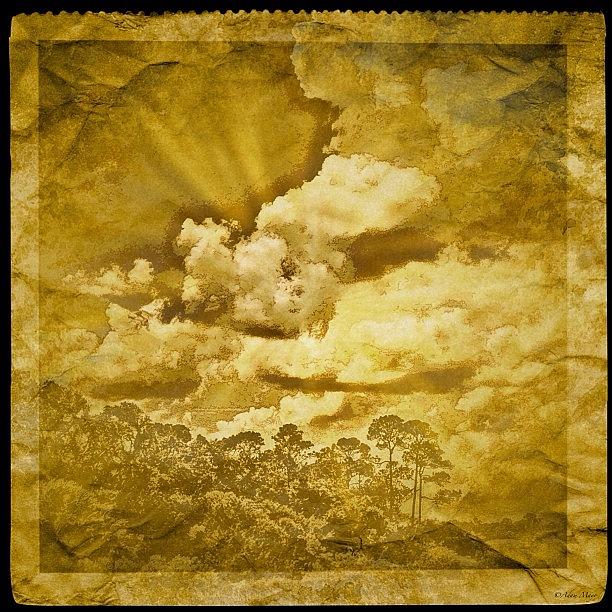 Love Photograph - Golden Skies Of Summer - I Thought They by Photography By Boopero