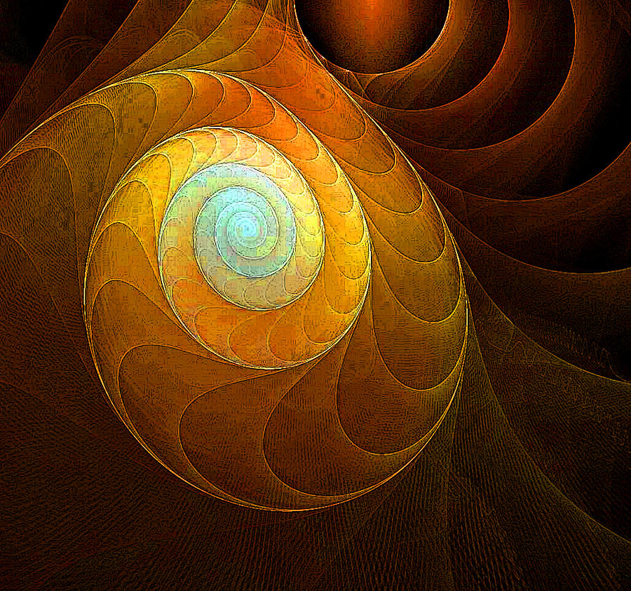 Golden Spiral Digital Art by Amanda Moore