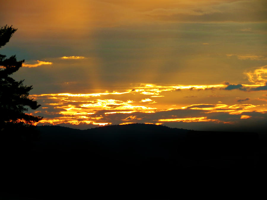 Golden Sunset Photograph by Azthet Photography