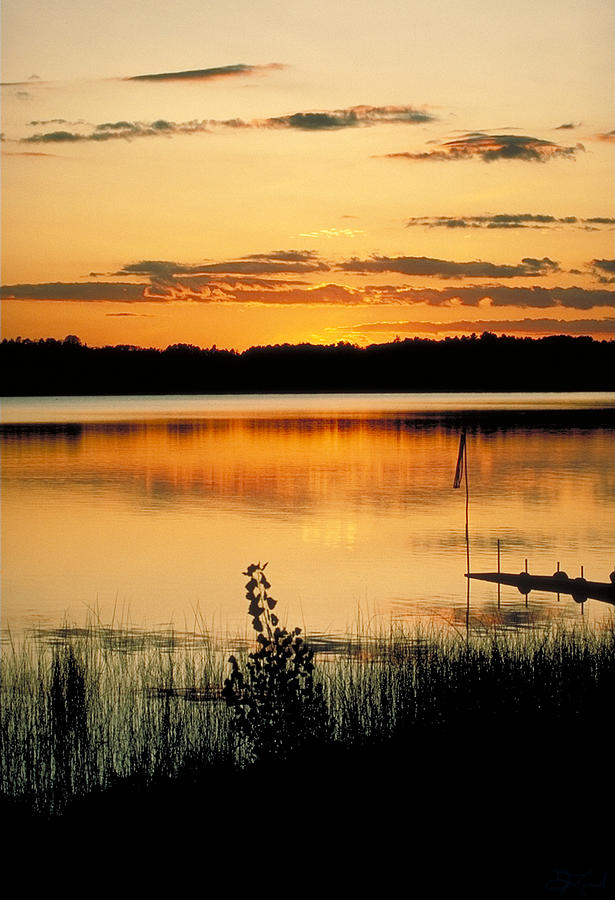 Golden Sunset Photograph by Jon Lord