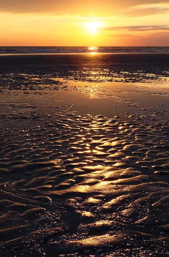 Golden Sunset On The Sand Beach Photograph by Setsiri Silapasuwanchai