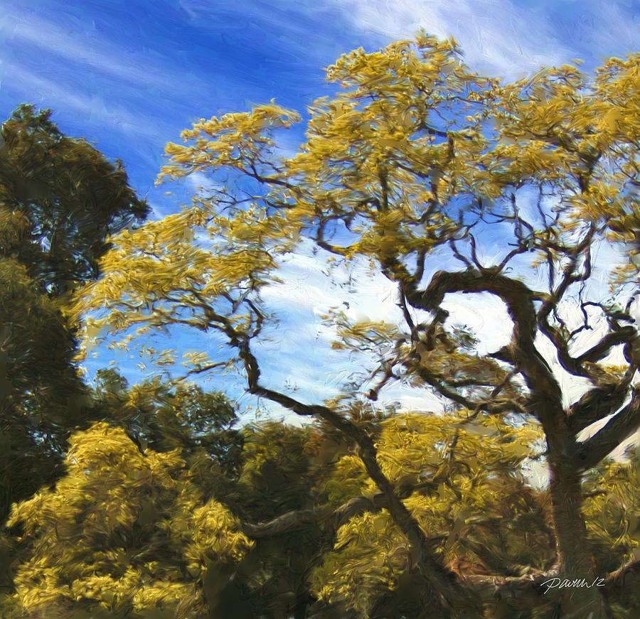 Golden Tree Carmel Valley Photograph by Jim Pavelle