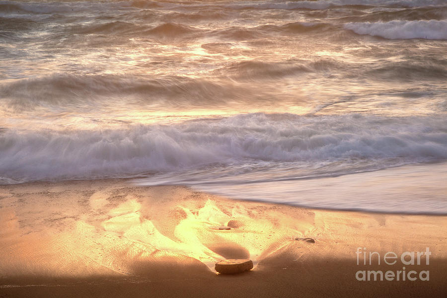 Golden Waves Photograph by Susan Cole Kelly