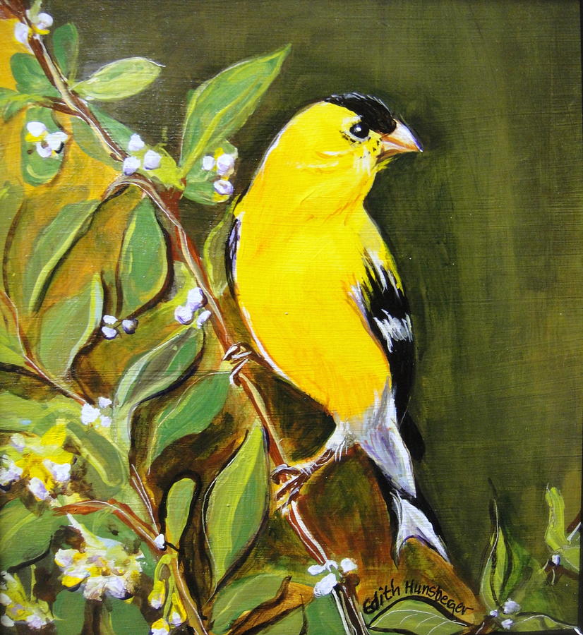 Goldfinch Painting by Edith Hunsberger
