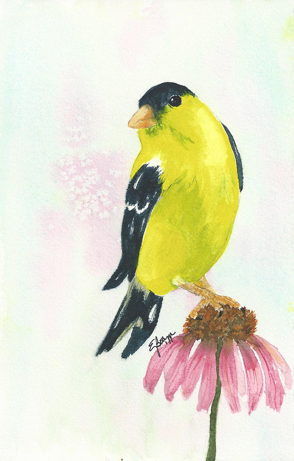 Goldfinch on a Coneflower Painting by Elise Boam