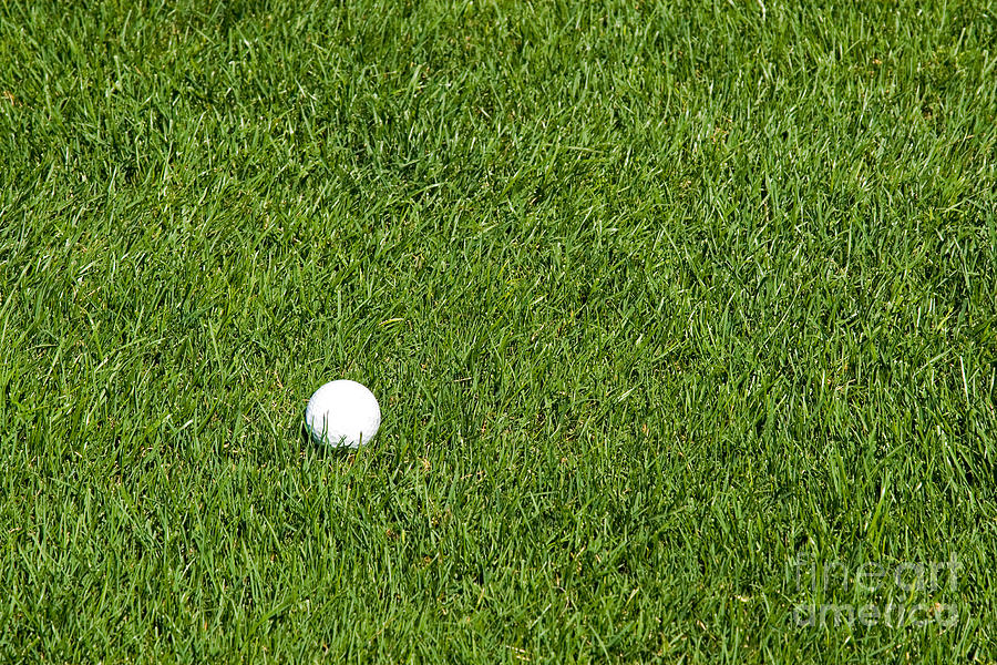 Golf Ball in the Tall Green Grass on a Resort Course Photograph by ELITE IMAGE photography By Chad McDermott