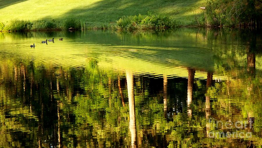 Golf Course Reflections 2 Photograph by Tatyana Searcy