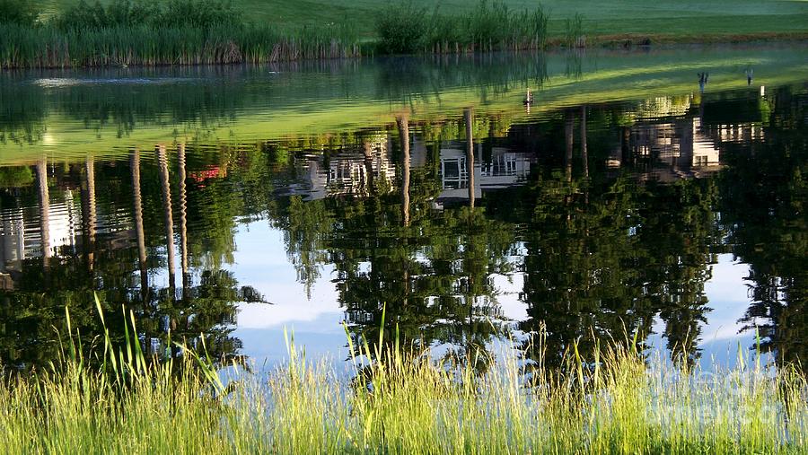 Golf Course Reflections 3 Photograph by Tatyana Searcy