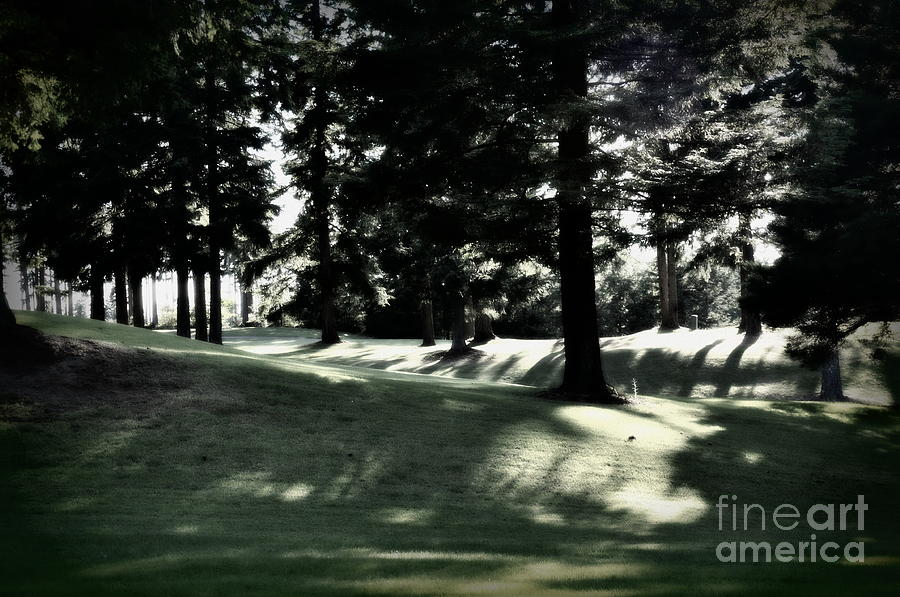 Golf Course Shadows 2 Photograph by Tatyana Searcy