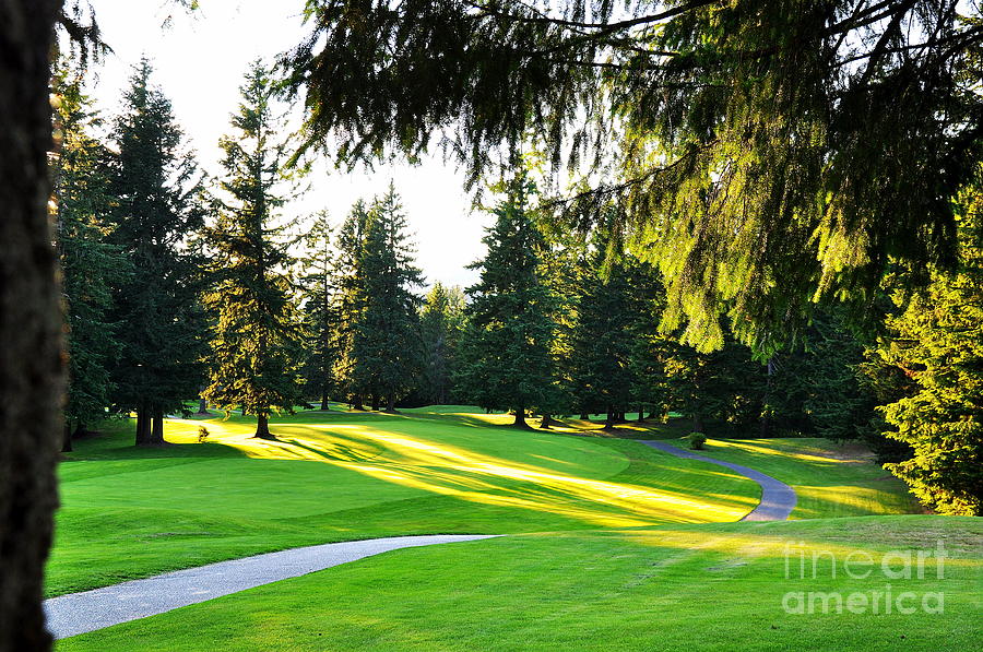 Golf Course Shadows Photograph by Tatyana Searcy