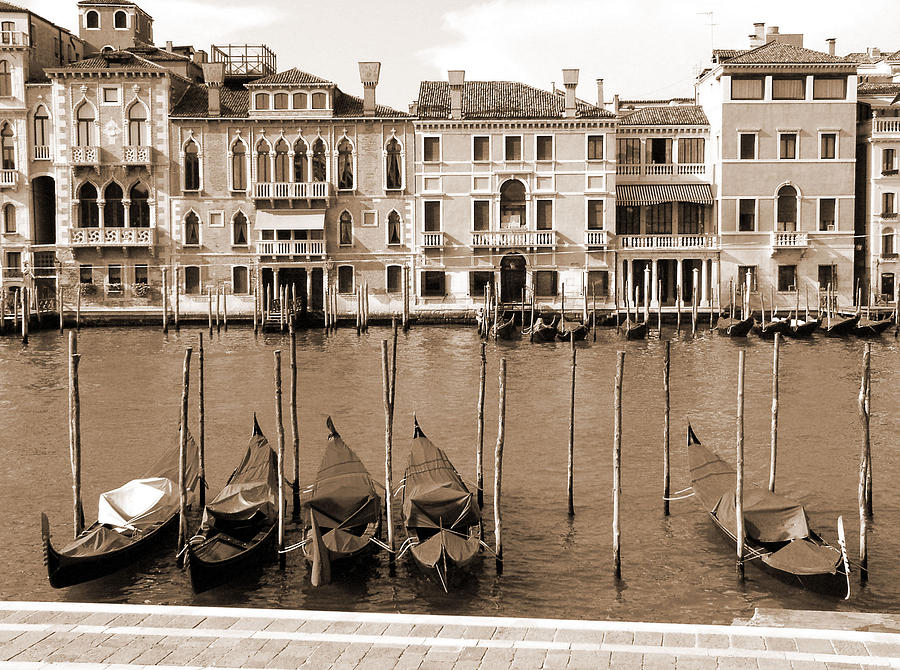 Gondolas Outside Salute Photograph by Donna Corless