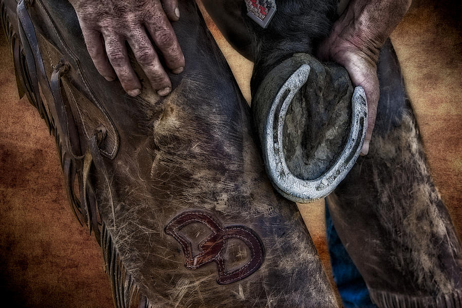 Horse Photograph - Good Luck by Susan Candelario