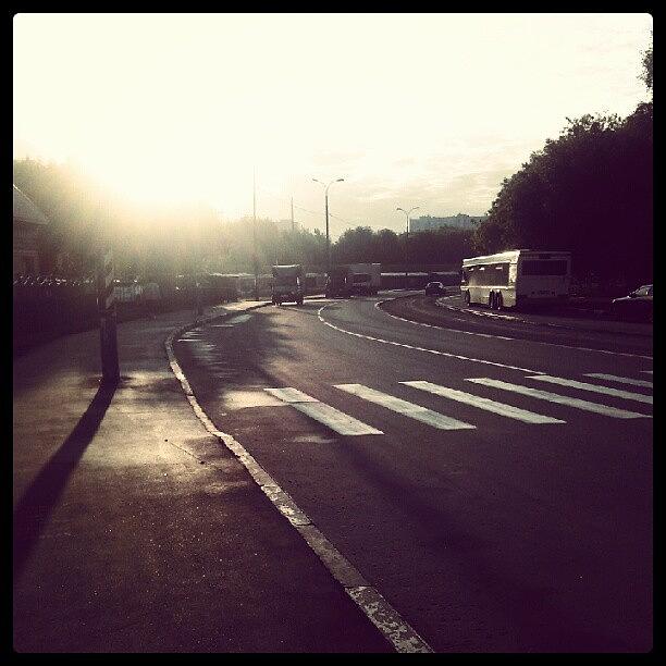 Day Photograph - Good Morning. (: #sunny #weather #day by Orange Fox