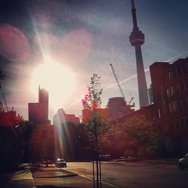 Toronto Photograph - Good Morning. But Not Great by Marayna Dickinson