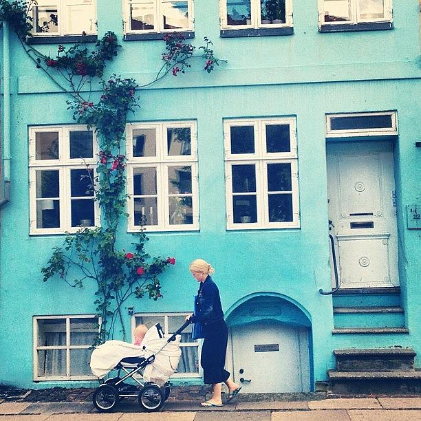 Flowers Still Life Photograph - Good Morning Copenhagen ☀ by Noa Steinberger