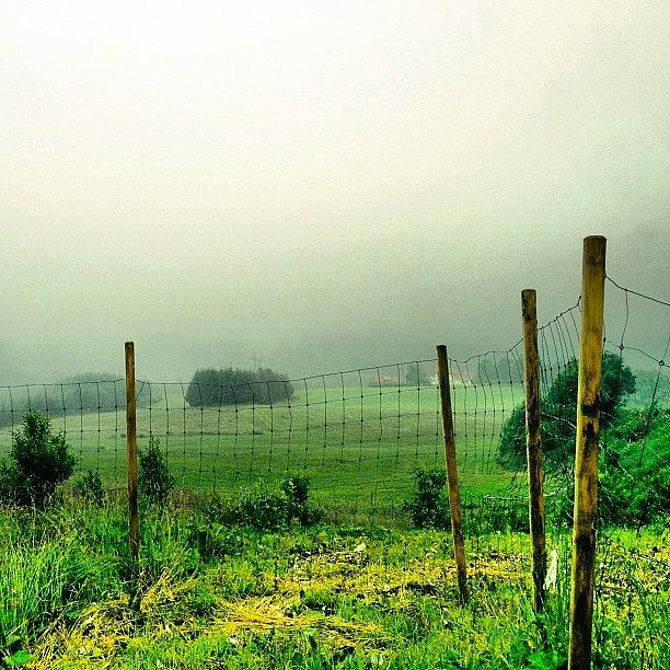 Good Morning From A Wet, Foggy Day! Photograph by Ria Molde 