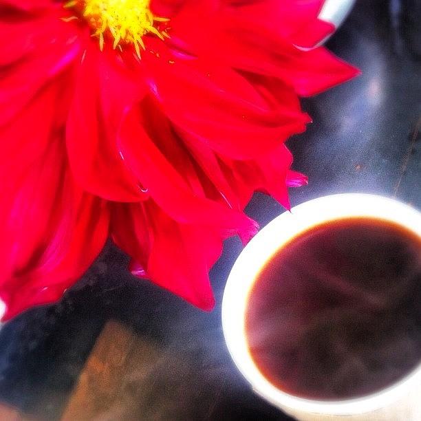Coffee Photograph - Good Morning From @downtownsr by Shana Ray