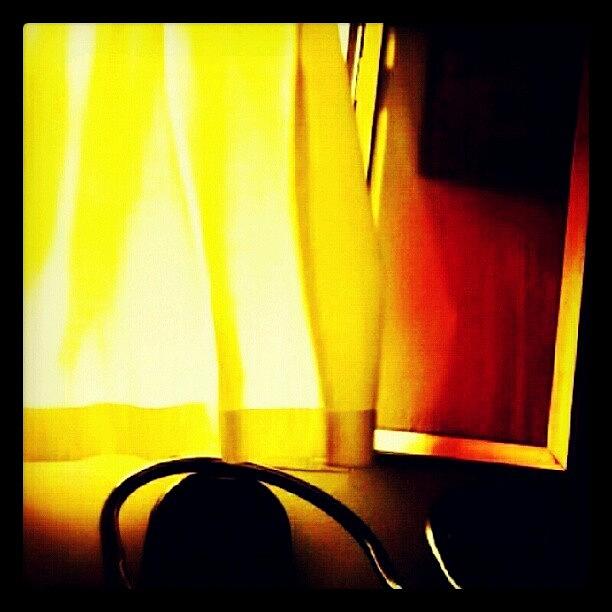 Yellow Photograph - Good Morning! #jj_forum_0382 #yellow by Mary Carter