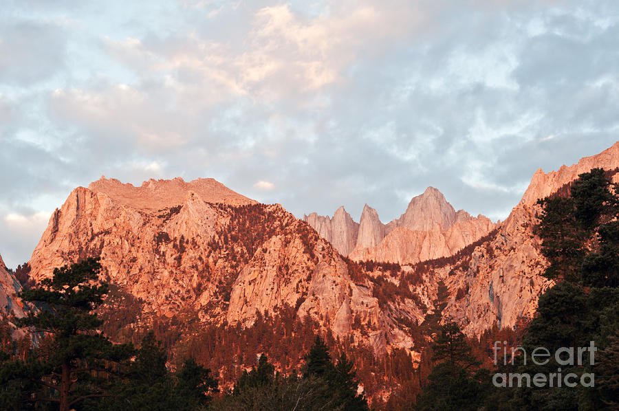 Good Morning Mount Whitney Photograph by Catherine Lau
