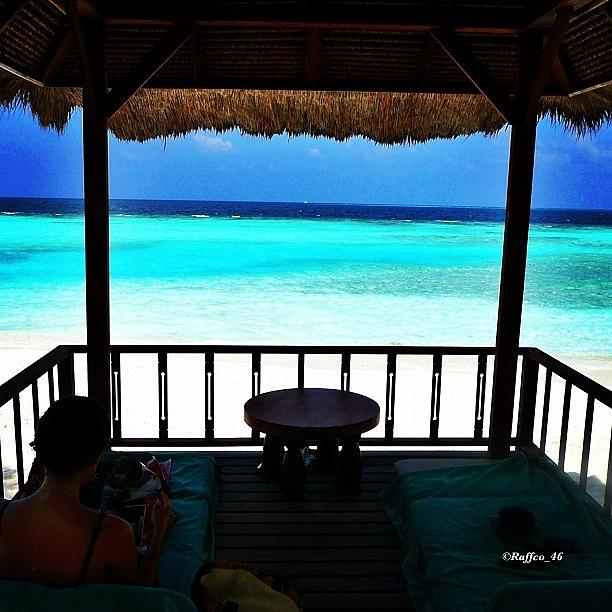 Paradise Photograph - Good Morning Peeps, A Maldives View Of by Raffaele Salera