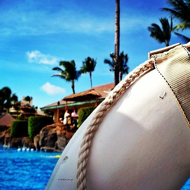 Instagram Photograph - Good Morning Peeps, #sheratonmaui #pool by Raffaele Salera