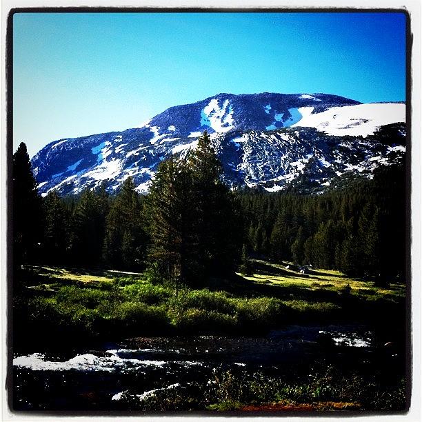 Good Morning Yosemite! Photograph by Seth Yates
