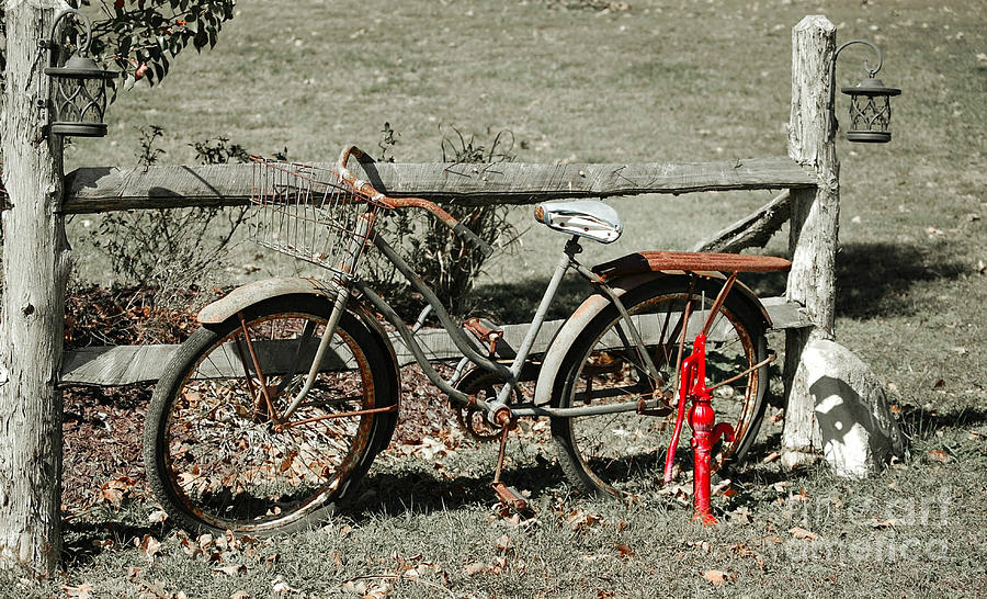 Good Ole Times Bike and Hand Pump Photograph by Peggy Franz