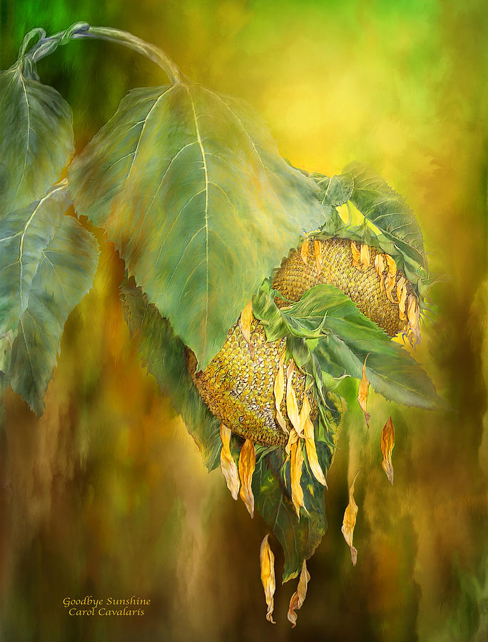 Sunflower Mixed Media - Goodbye Sunshine by Carol Cavalaris