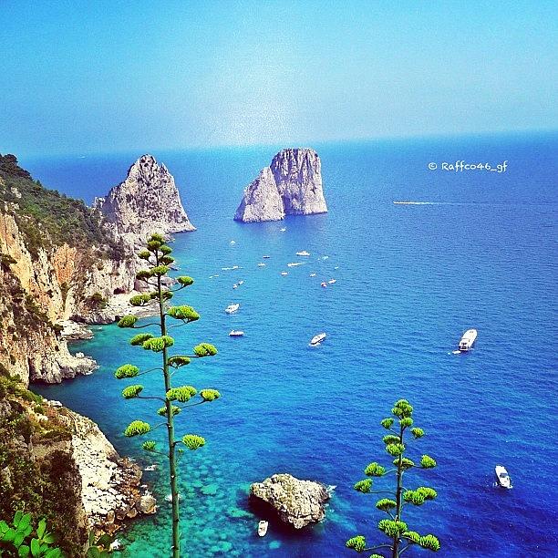 Magic Photograph - Goodmorning Peeps, A Capri View Of The by Raffaele Salera