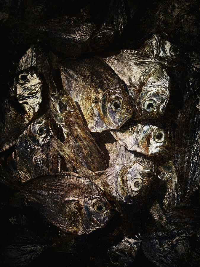 Dried Fish Photograph by Skip Nall