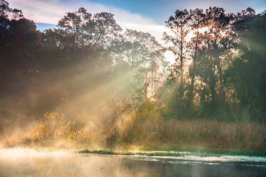 Goose Creek Sun Rays Photograph by Marc Crumpler