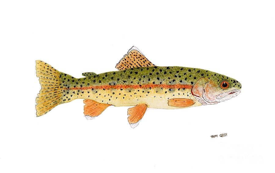 Goose Lake Redband Trout Painting by Thom Glace