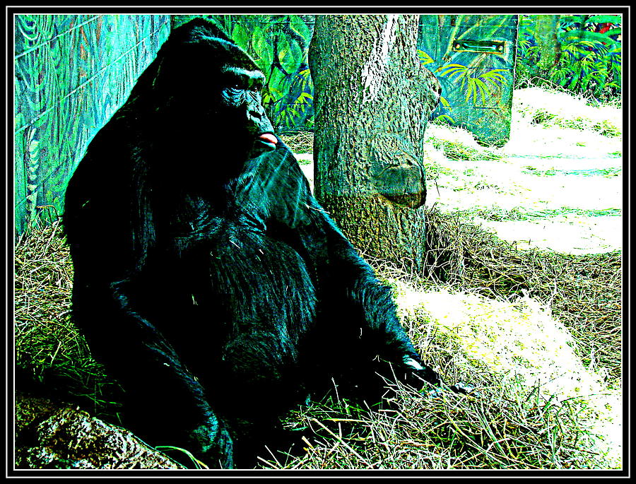 Gorilla-2 Photograph by Anand Swaroop Manchiraju