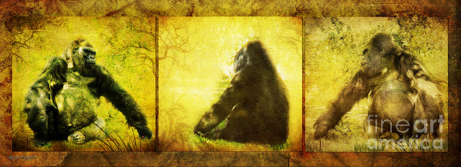 Gorilla Triptych Digital Art by Rhonda Strickland