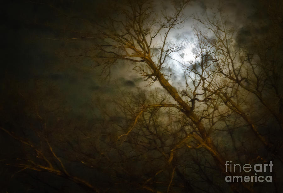 Gossamer Moon Photograph by Fred Lassmann