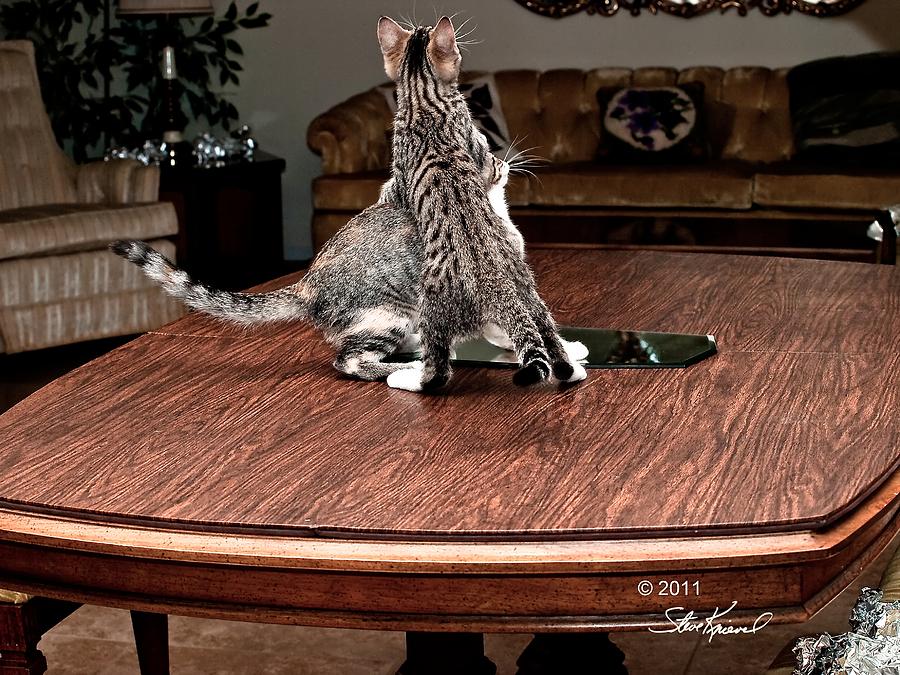 Cat Photograph - Got Ya by Steve Knievel