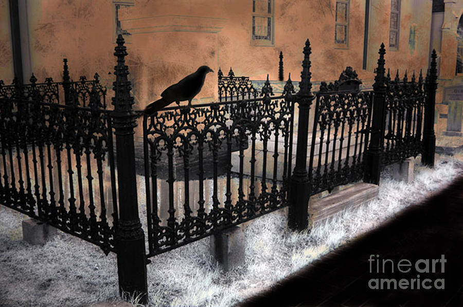 Gothic Cemetery Raven Photograph by Kathy Fornal